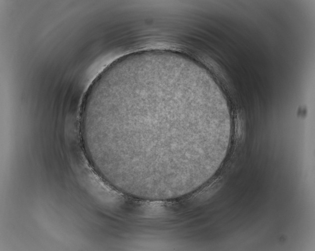 X0000111600828200908061412