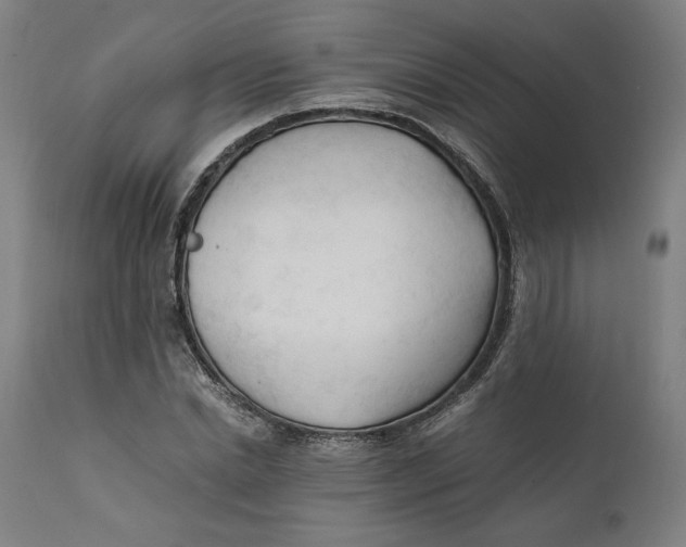 X0000111600830200908061412