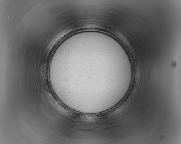 X0000111600831200908061412