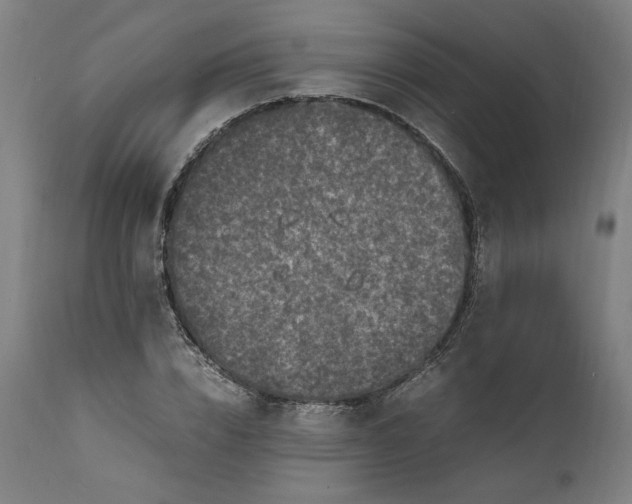 X0000111600832200908061412