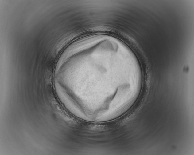 X0000111600833200908061412