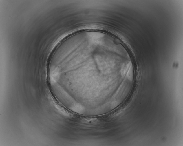 X0000111600837200908061412