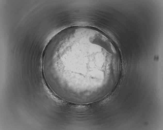 X0000111600839200908061412