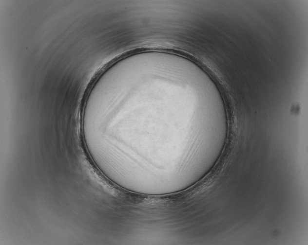 X0000111600840200908061412