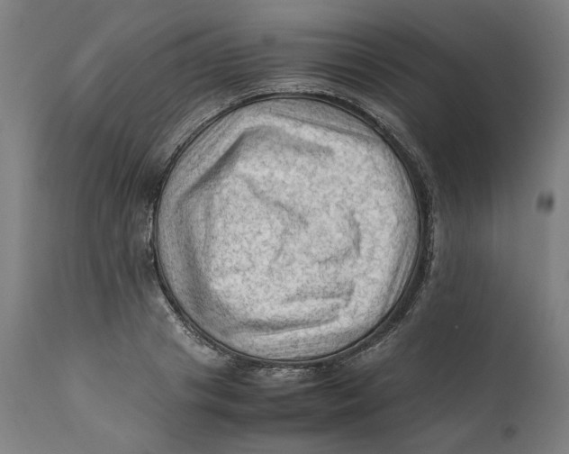 X0000111600841200908061412