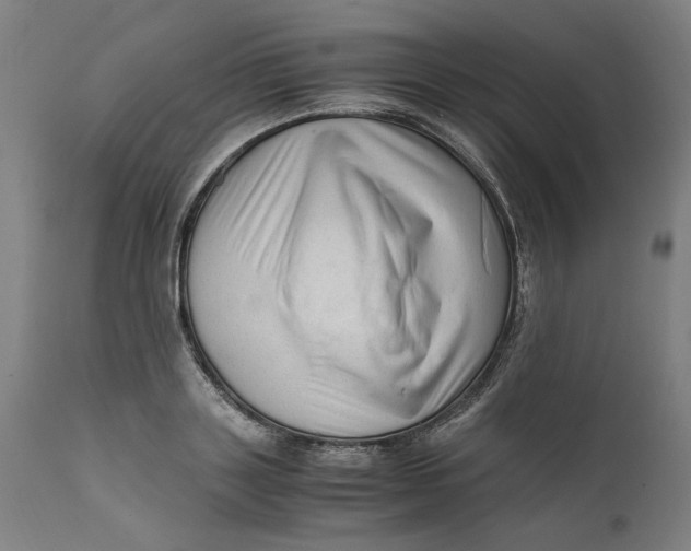 X0000111600843200908061412