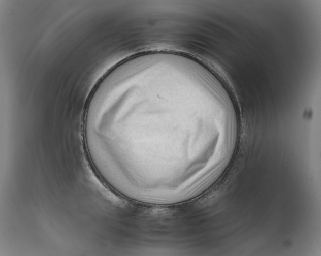 X0000111600847200908061412