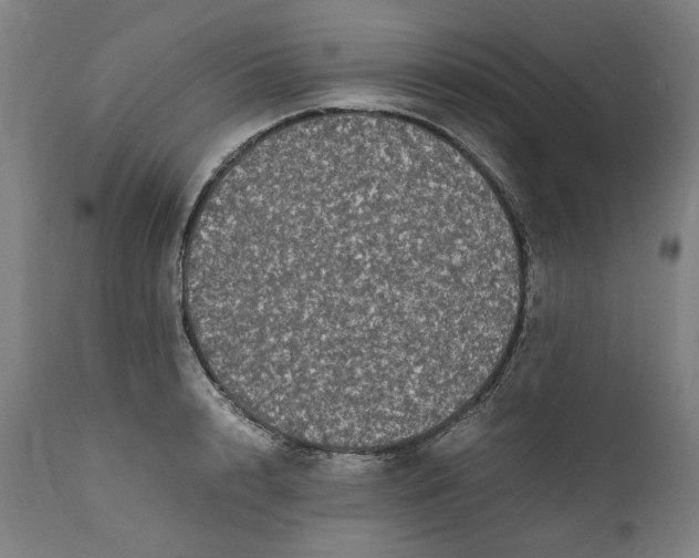 X0000111600848200908061412