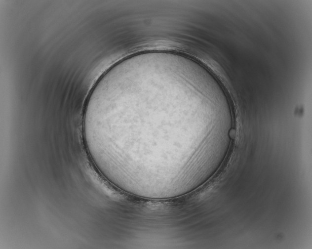 X0000111600850200908061412