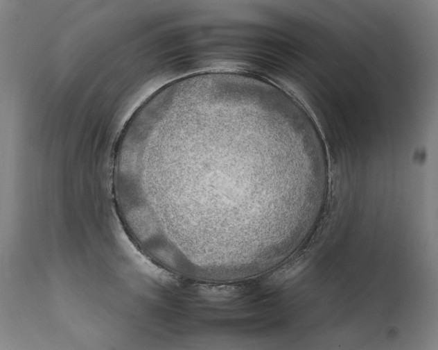 X0000111600851200908061412