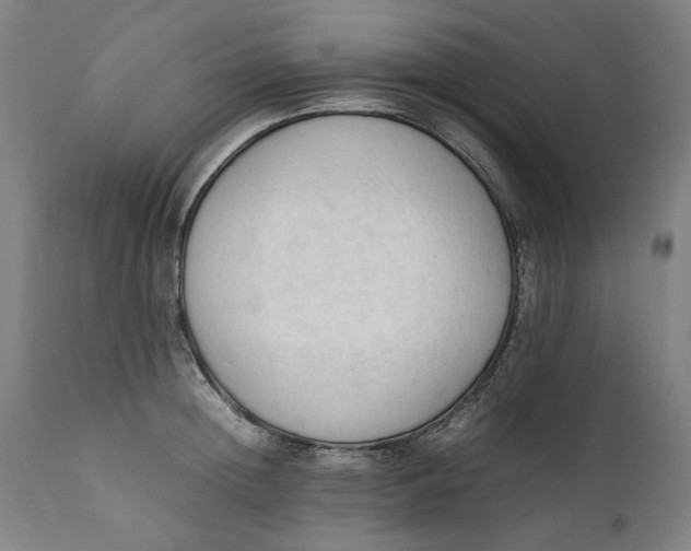 X0000111600852200908061412