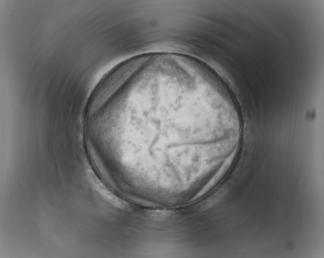 X0000111600854200908061412