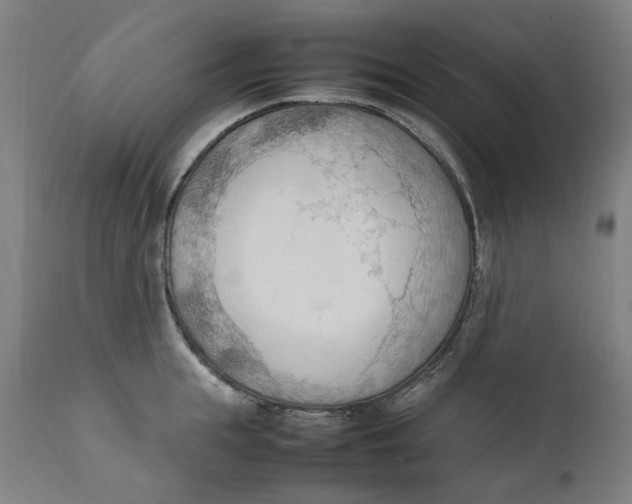 X0000111600855200908061412
