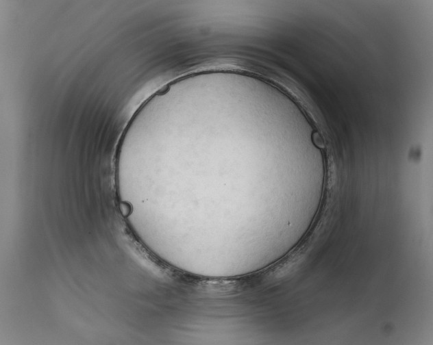 X0000111600858200908061412