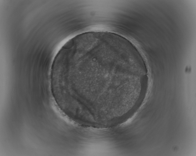 X0000111600864200908061412