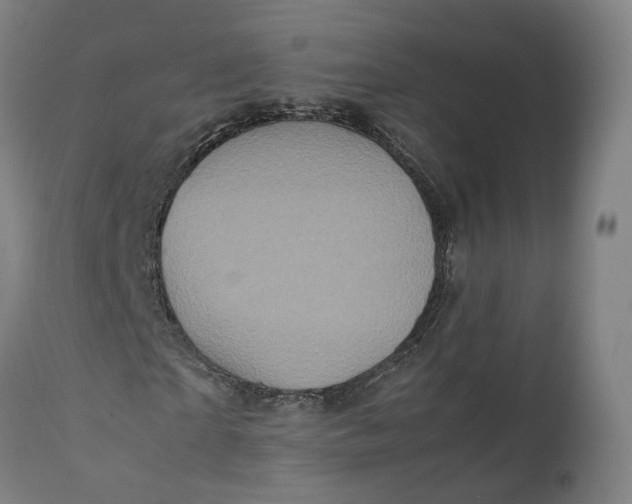 X0000111600865200908061411