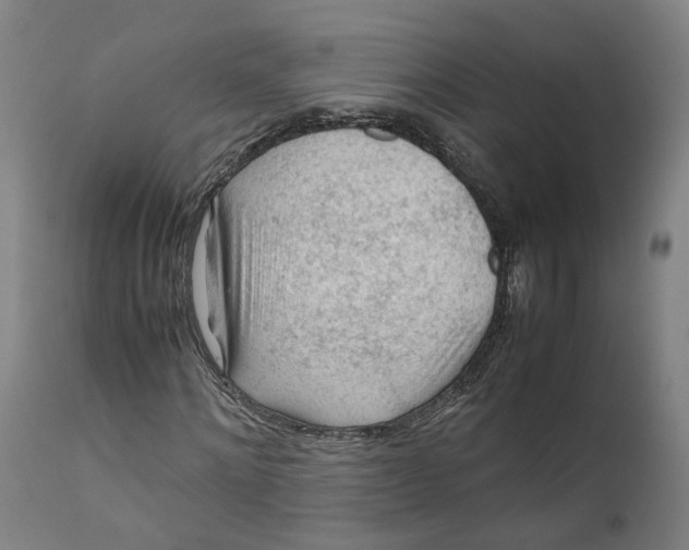 X0000111600868200908061411