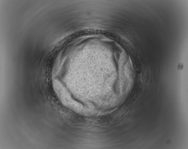 X0000111600870200908061411