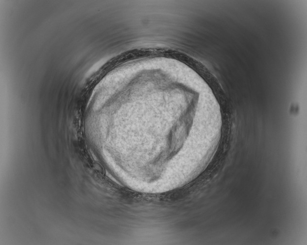 X0000111600871200908061411