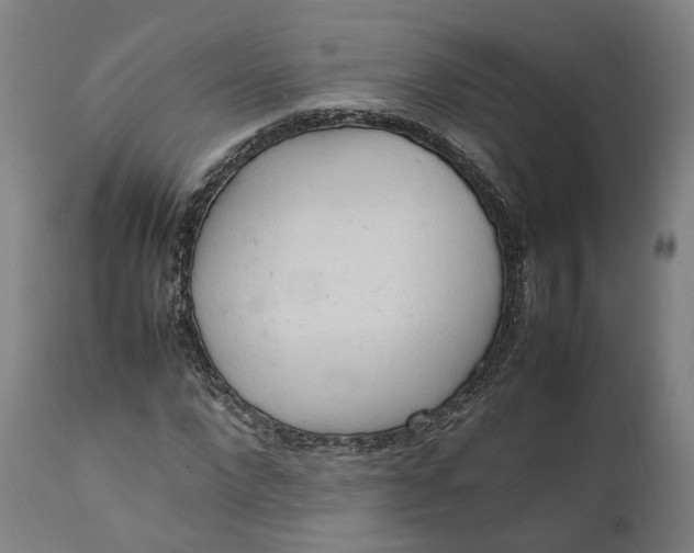 X0000111600872200908061411