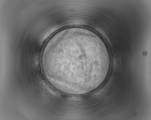 X0000111600874200908061411