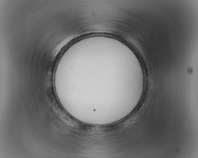 X0000111600875200908061411