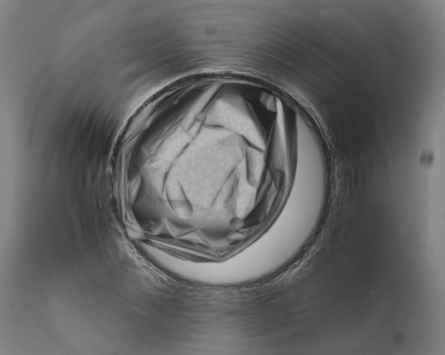 X0000111600876200908061411