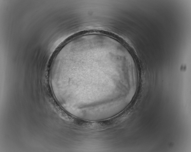 X0000111600879200908061411
