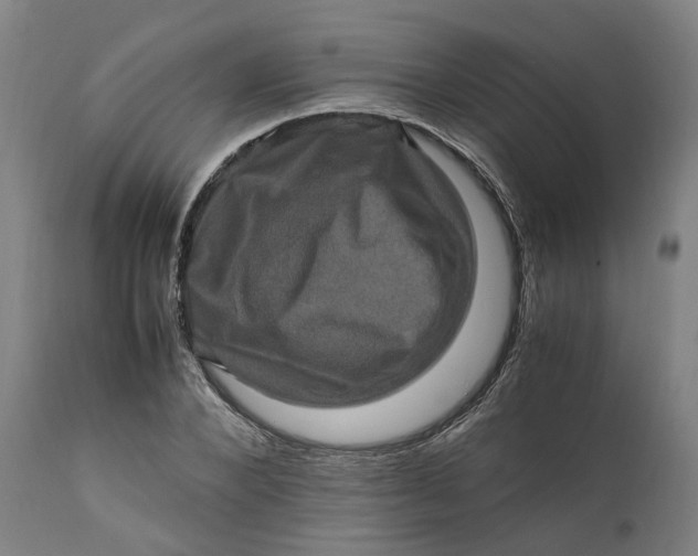 X0000111600880200908061411