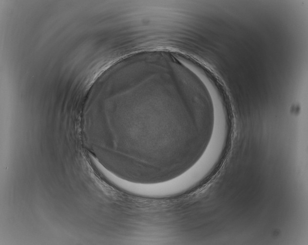 X0000111600881200908061411