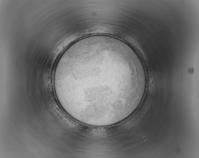 X0000111600882200908061411