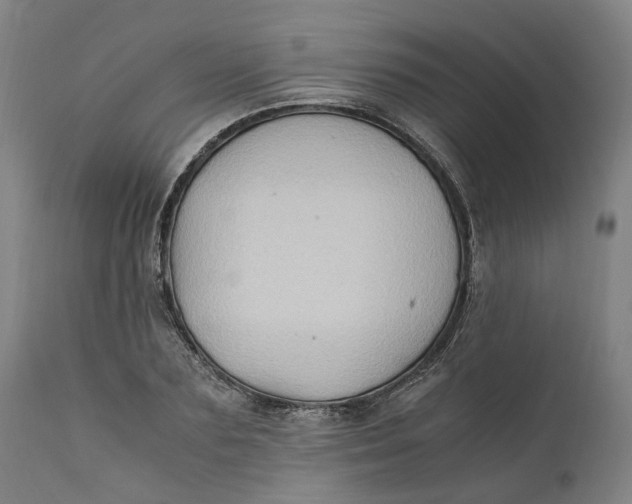 X0000111600883200908061411