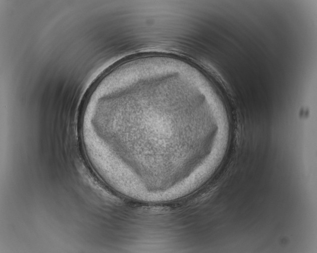 X0000111600884200908061411