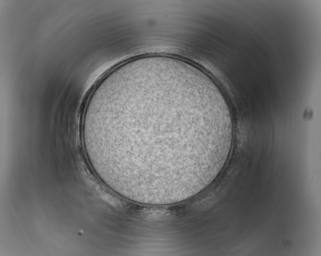 X0000111600886200908061411