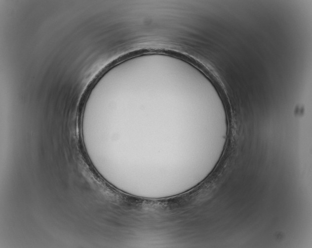 X0000111600887200908061411