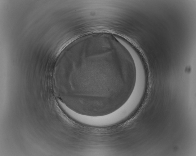 X0000111600889200908061411