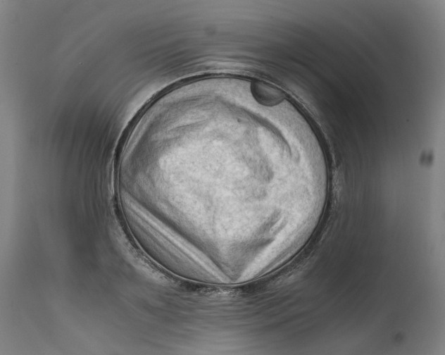X0000111600891200908061411