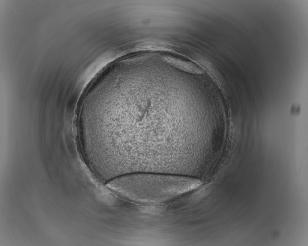 X0000111600893200908061411
