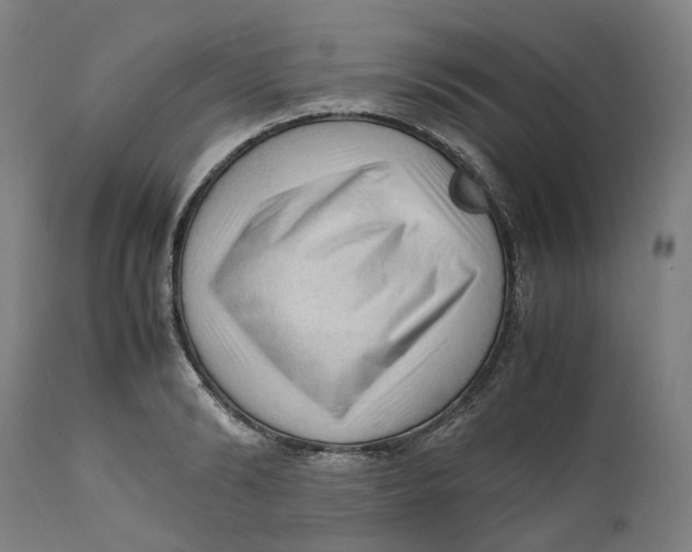 X0000111600894200908061411