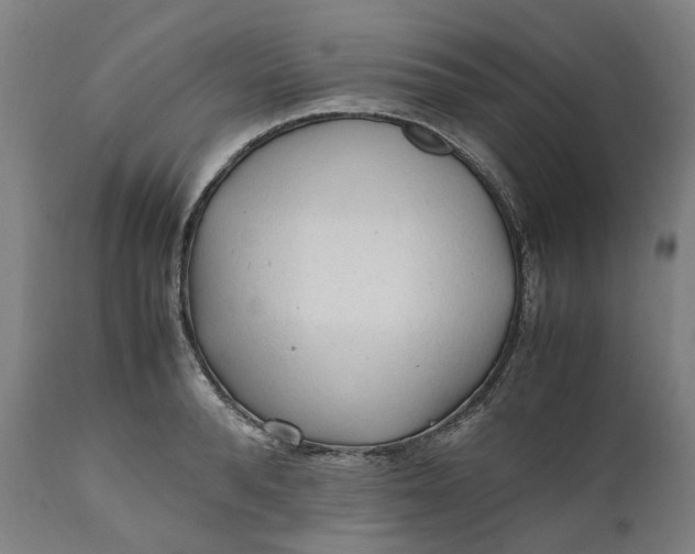 X0000111600896200908061411