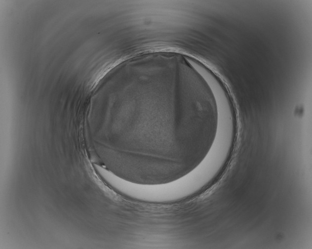 X0000111600897200908061411