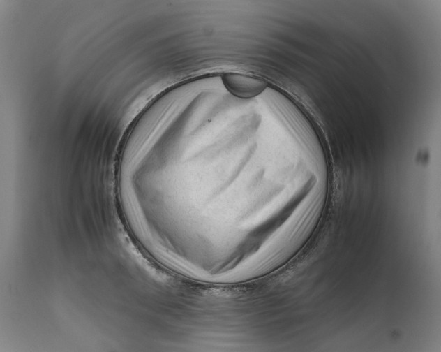 X0000111600898200908061411