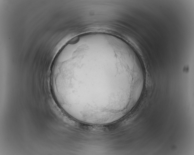 X0000111600899200908061411