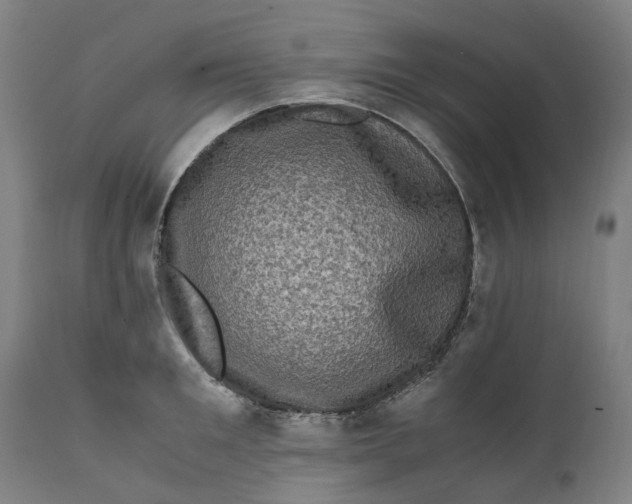 X0000111600901200908061411