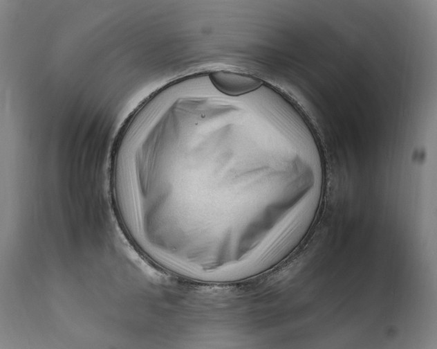 X0000111600902200908061411