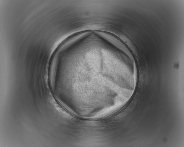 X0000111600904200908061411