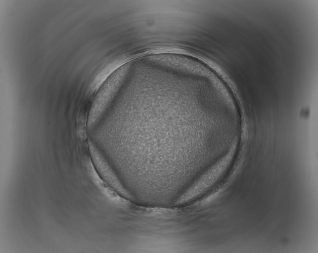 X0000111600905200908061411