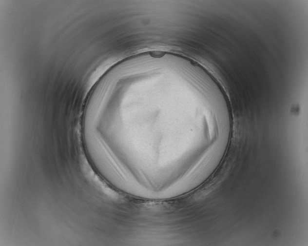 X0000111600906200908061411