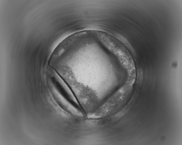 X0000111600908200908061411