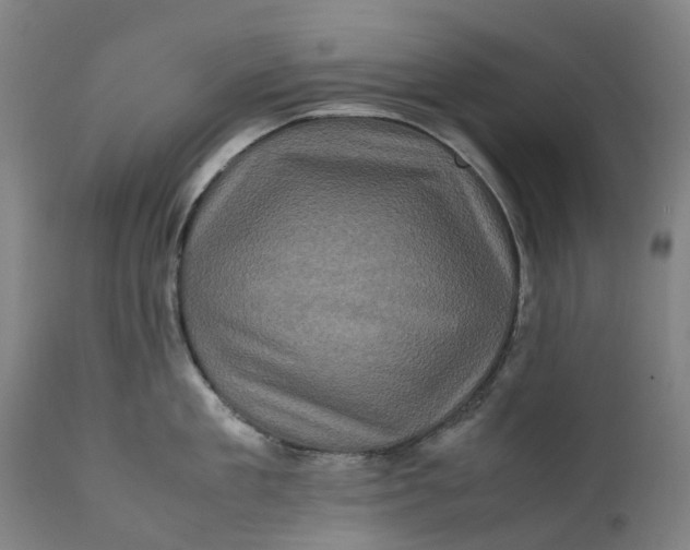 X0000111600909200908061411